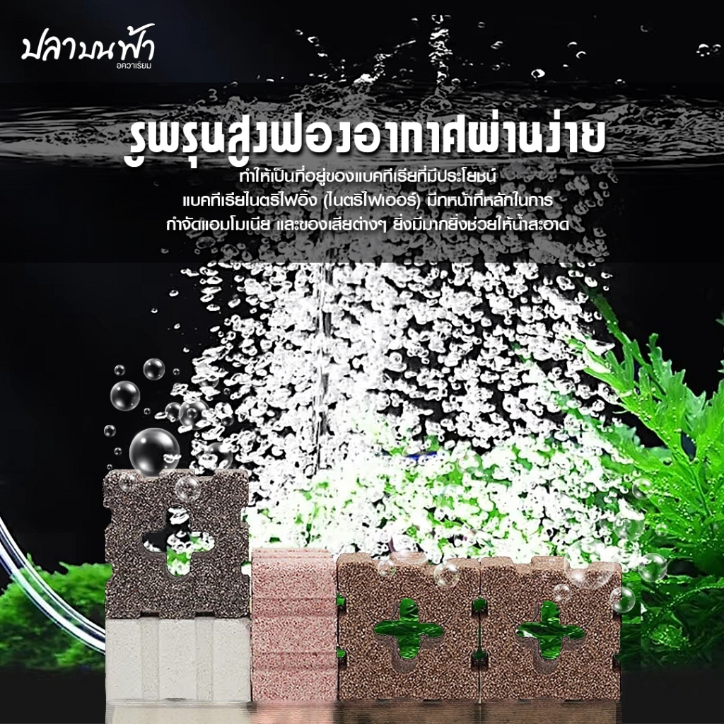 รูปภาพ 2