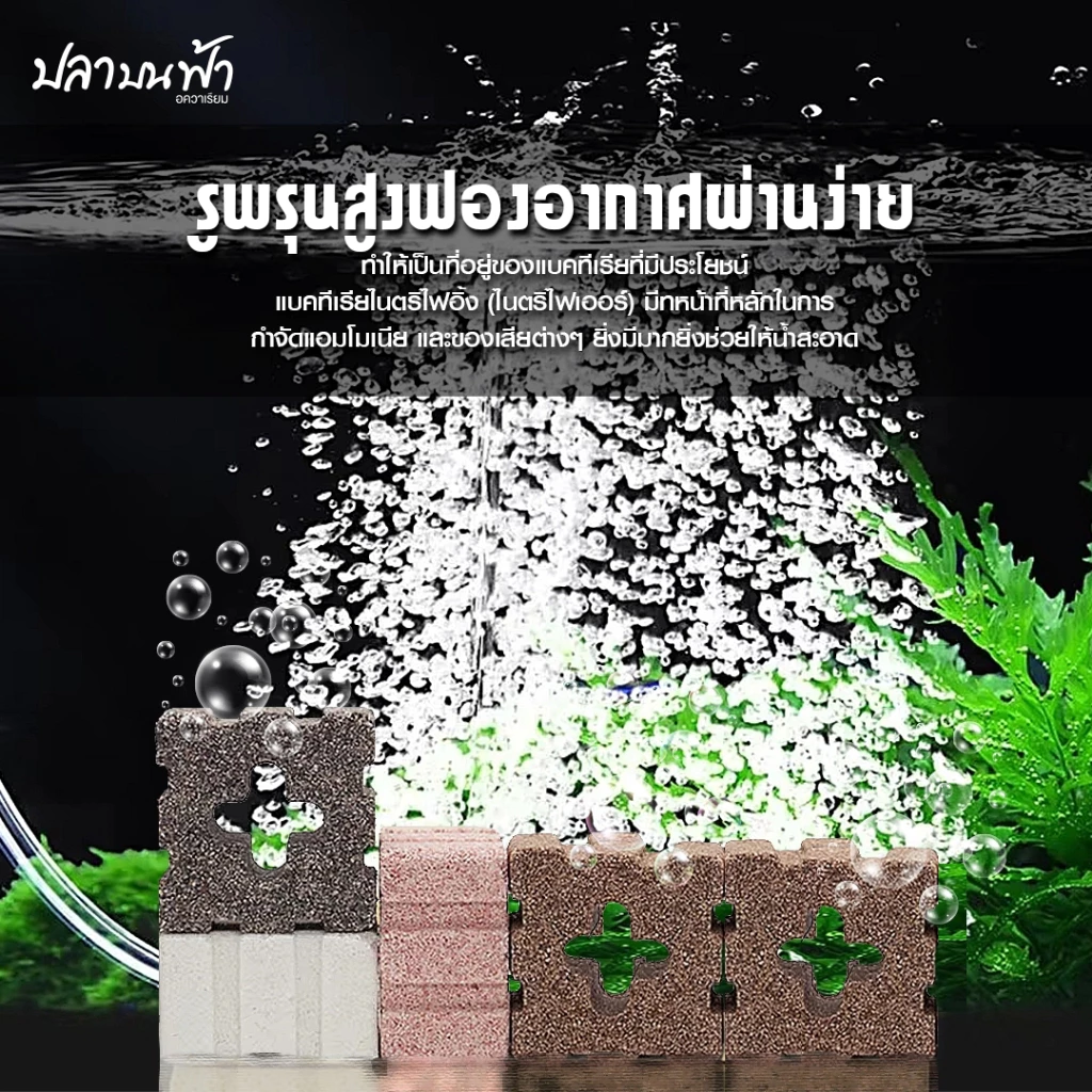 C-box เซรามิกแปดเหลี่ยม 5 สี วัสดุกรองตู้ปลา รุ่นอัพเกรด คุณภาพสูง thumbnail 3