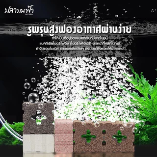 C-box เซรามิคหลี่ยมแปดร่อง 5 สี รุ่นอัพเกรด วัสดุกรองตู้ปลาคุณภาพสูงใช้ได้ยาวนาน ขนาด 4.5*4.5*3 cm.