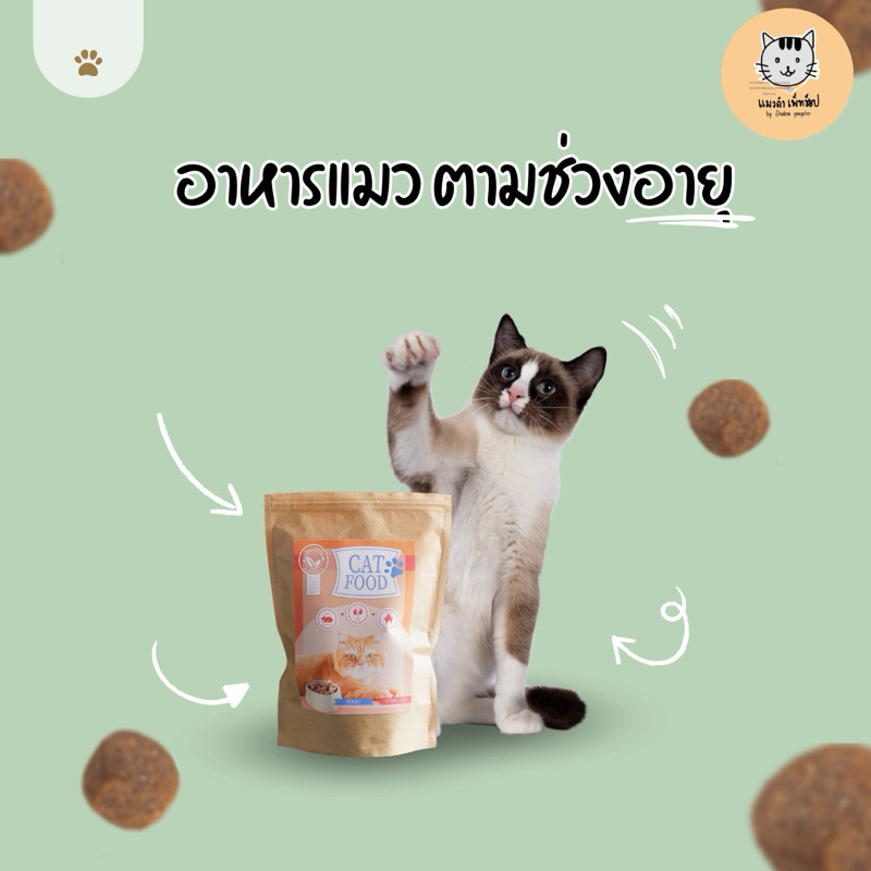 อาหารแมวcombo กล่องสีม่วง และกล่องสีทอง