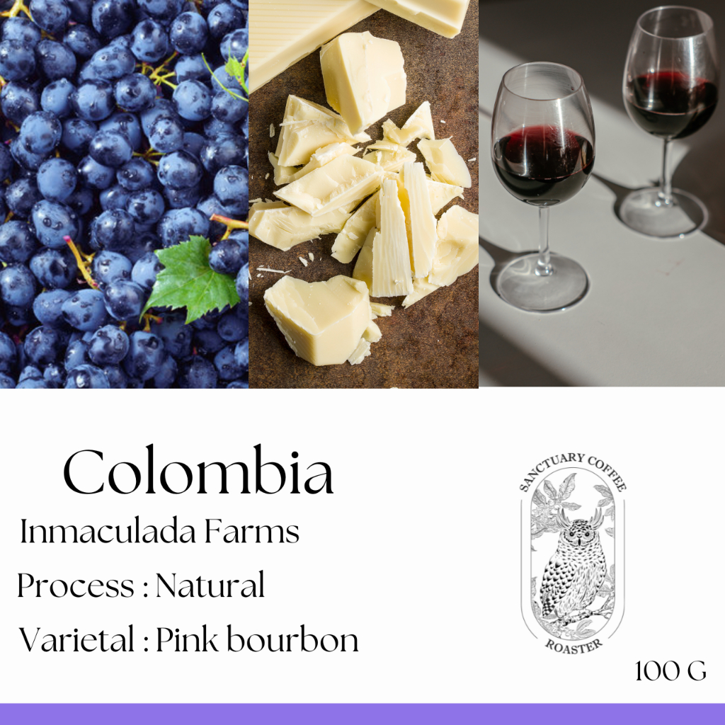 เมล็ดกาแฟ Colombia Inmaculada Pink Bourbon