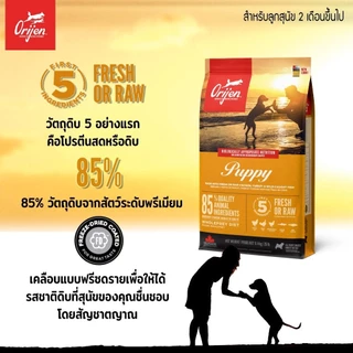 Orijen อาหารสุนัขเกรดซุปเปอร์พรีเมี่ยม มีให้เลือก 5 สูตร ขนาด 4.5 - 6 กิโลกรัม{อาหารสุนัขเม็ด}