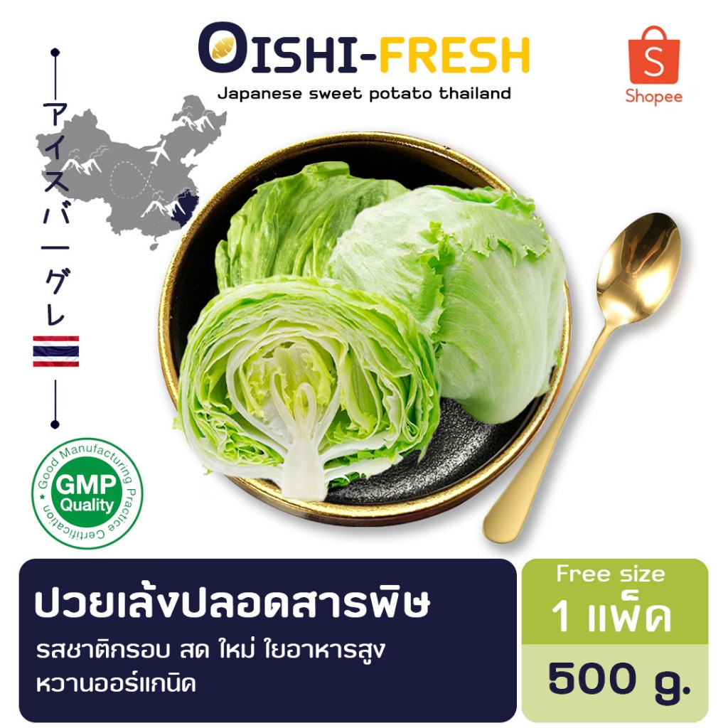 ผักกาดแก้ว ปลอดสารพิษ 500 ก. รสชาติกรอบ สด ใหม่ ใยอาหารสูง หวานออร์แกนิด เคลมได้ 1-2 วัน