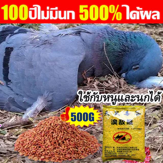 200%.ได้ผล ยาเบื่อ นกพิราบ ยากำจัดนกพิราบ ยาเบื่อนก ไล่นก ก้อนไล่นก กำจัดนก เหยื่อกำจัดนกพิราบ เบื่อนกพิราบ ยาฆ่านกพิรา