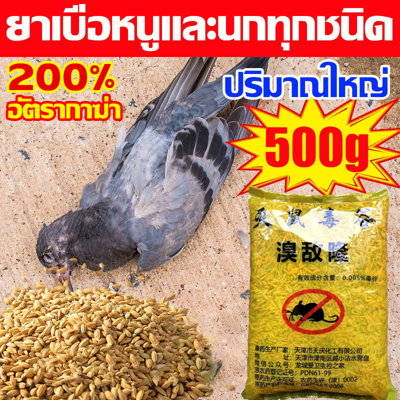 200% -ได้ผล ยาเบื่อ นกพิราบ ยากำจัดนกพิราบ ยาเบื่อนก ไล่นก ก้อนไล่นก กำจัดนก เหยื่อกำจัดนกพิราบ เบื่อนกพิราบ ยาฆ่านกพิรา