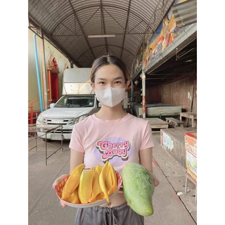 #ต้นมะม่วงน้ำดอกไม้มัน หรือขาวนิยม พันธุ์ทวาย ((เสียบยอด))สูง50-60เซน 1 ปีติดผล
