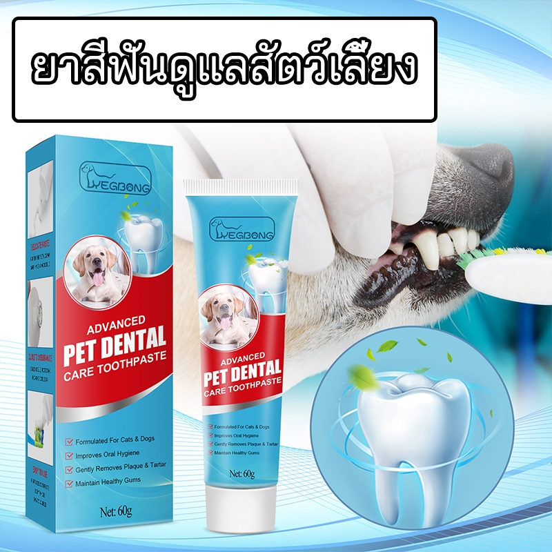 ยาสีฟันสุนัข สัตว์เลี้ยง แมว ยาสีฟันสำหรับหมา ทําความสะอาดฟัน ควบคุมหินปูน ลดกลิ่นปาก 60 กรัม