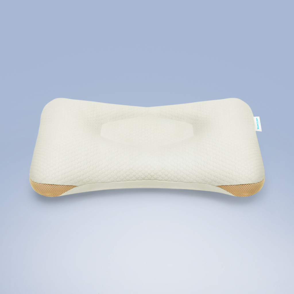 Mochi Futon  หมอนญี่ปุ่น 6 มิติ - Reku Pillow