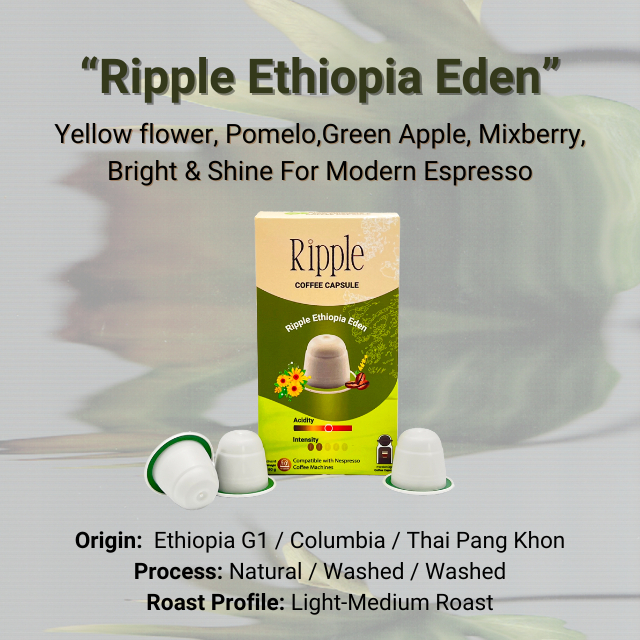 Ripple แคปซูลกาแฟ  “Ripple Ethiopia Eden” (10 Capsules)