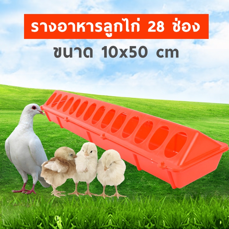 ที่ใส่อาหารไก่เล็ก ใส่ข้าวไก่ รางอาหารลูกไก่ ใส่อาหารไก่ 28 ช่อง AN1