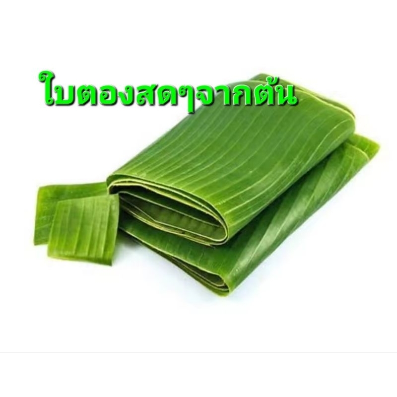 ใบตองสด ใบตองกล้วยน้ำว้า ใบกล้วย ใบตองทำขนม ใบตองเอนกประสงค์