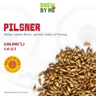 มอลต์ Pilsner Malt – Weyermann #ทำเบียร์
