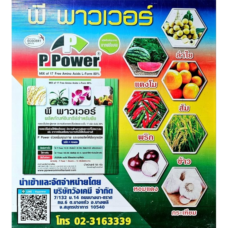 อะมิโนผง โปรตีนสำหรับพืช [พี พาวเวอร์] 50g. เข้มข้น จากยุโรป เร่งดอก ขยายผล เพิ่มผลผลิต ฟื้นต้น - รูปที่ 7