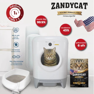 ทรายแมว ZANDY CAT ทรายแมวภูเขาไฟ กลิ่นกาแฟ 12ลิตร{ทรายแมว}