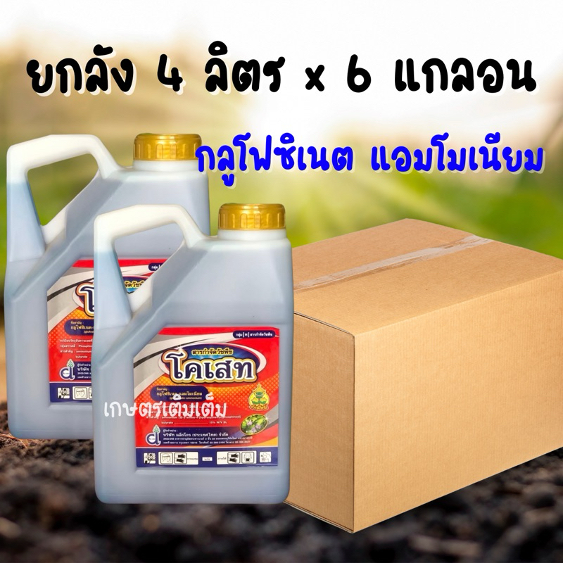 โคเสท ขนาด 4 ลิตร ยกลัง 6 แกลลอน(กลูโฟซิเนต-แอมโมเนียม)สารกำจัดวัชพืช ชนิดใบกว้างและใบแคบ
