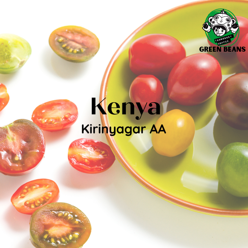 สารเมล็ดกาแฟ Kenya Kirinyaga AA++ Washed 2024