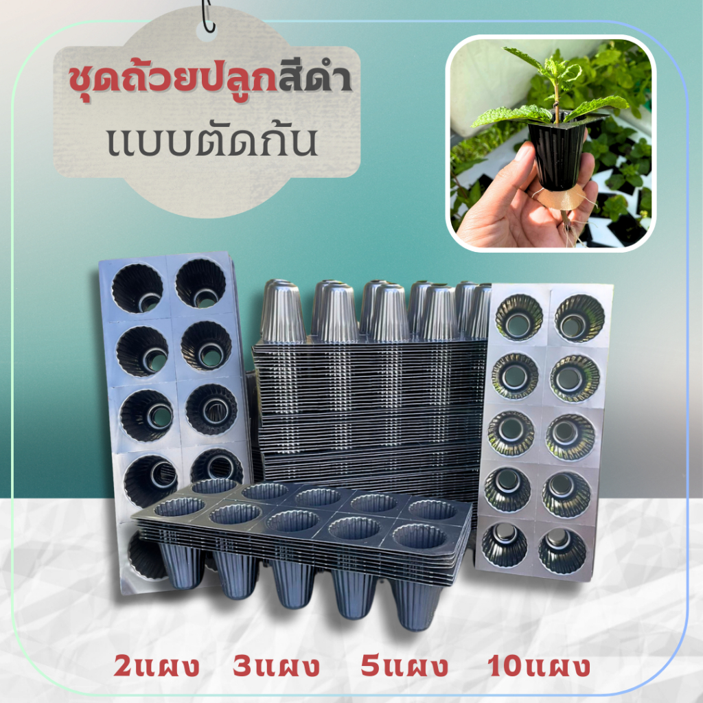 ถ้วยปลูกผักไฮโดรโปรนิกส์ สีดำ  แบบตัดก้น -เกษตรกรรมยั่งยืน