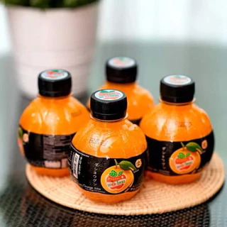 น้ำส้ม / น้ำลิ้นจี่ เดอะโชกุน น้ำผลไม้ อร่อย ชื่นใจ ขนาด 220 ml. [6-30 ขวด]