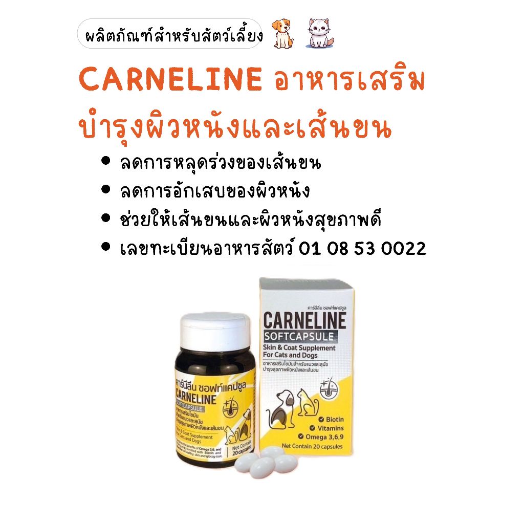 CARNELINE SOFTCAPSULE คาร์นีลีน วิตามินบำรุงผิวหนังและเส้นขนสำหรับสุนัข-แมว