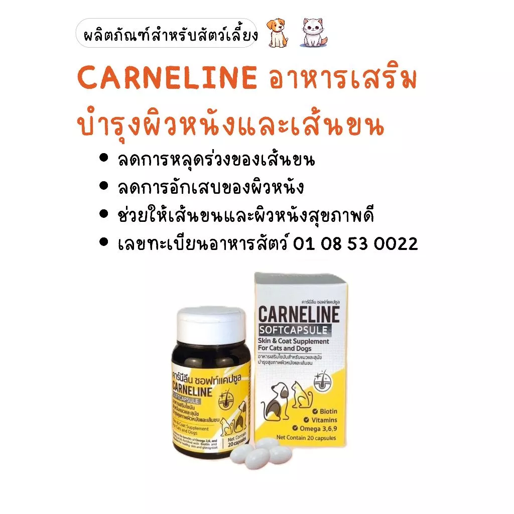 CARNELINE SOFTCAPSULE คาร์นีลีน วิตามินบำรุงผิวหนังและเส้นขนสำหรับสุนัข-แมว (exp 11/2027)