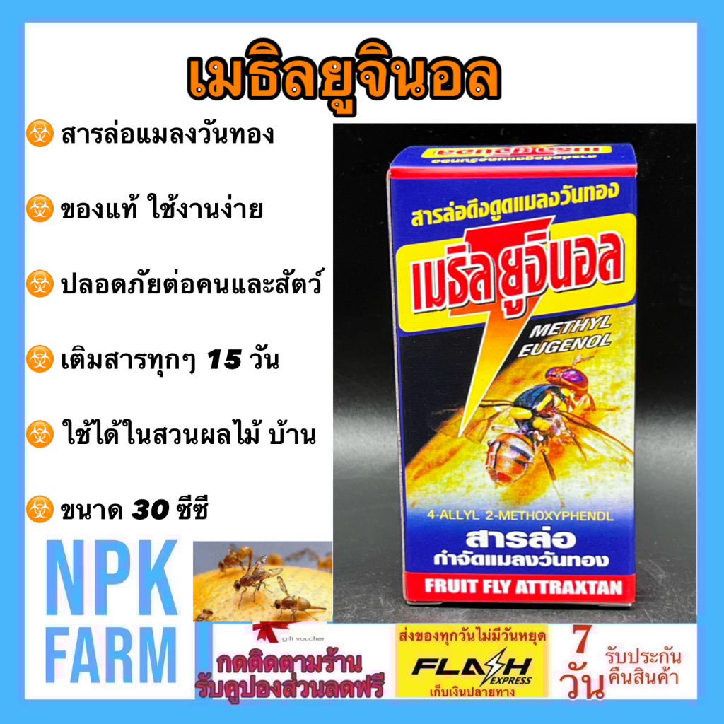 เมธิลยูจินอล [ ขนาด 30 ซีซี ]  สารล่อแมลงวันทอง แมลงวันทอง เมทิลยูจินอล  ของแท้ ฆ่าแมลงวันทองในตัว