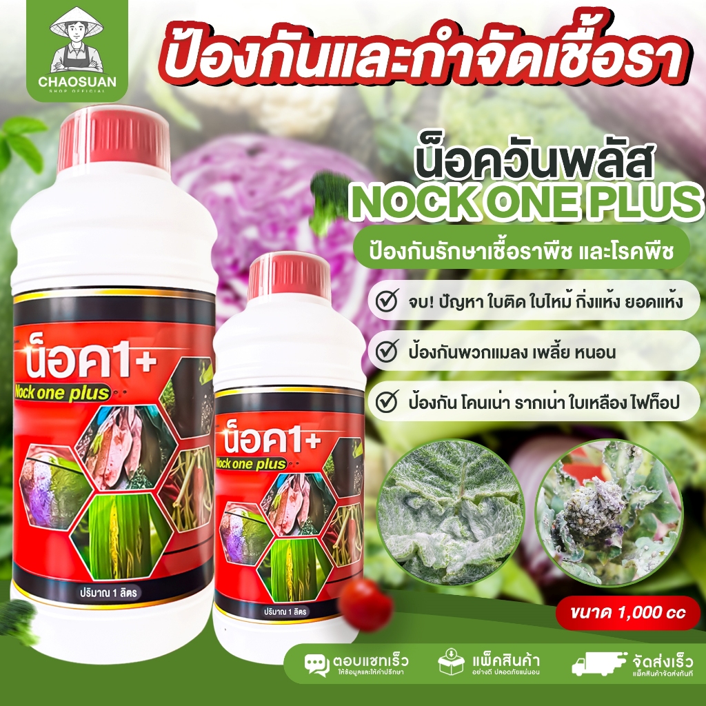 น็อควันพลัส ป้องกันรักษาเชื้อราพืช ใบติด กิ่งแห้ง ฟิวซาเรียม ใบจุด เหี่ยวเขียว Nock one plus น็อค1+