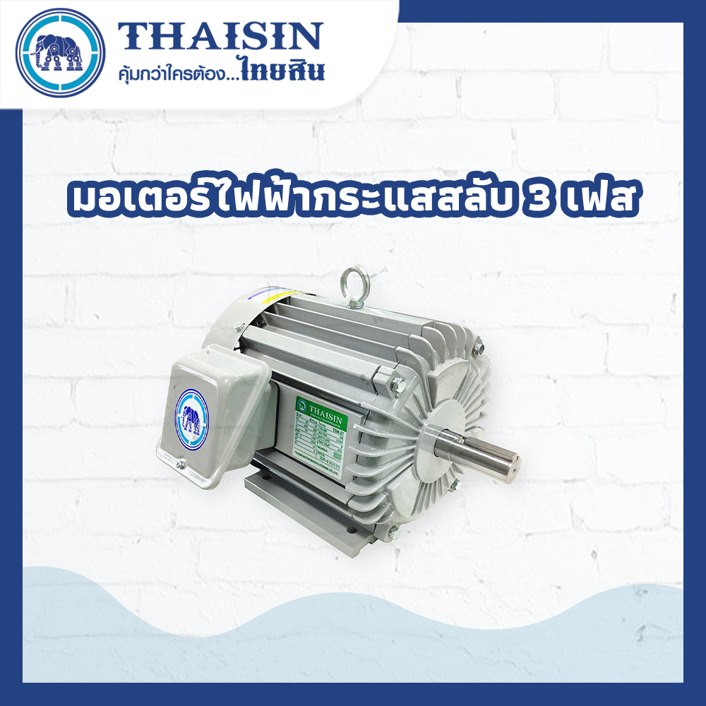 มอเตอร์ไฟฟ้า THAISIN (IP44) กระแสสลับ 3 เฟส
