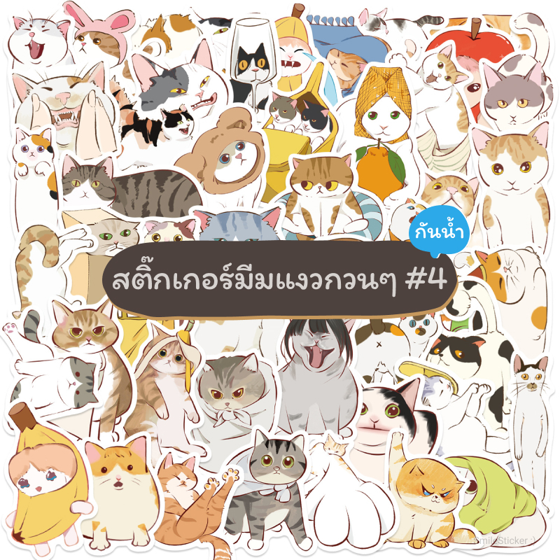 [พร้อมส่ง] สติ๊กเกอร์ มีมแมวกวนๆ ชุด 4 ตลก น่ารัก ชุด 50 ชิ้น กันน้ำ สําหรับติดตกแต่ง