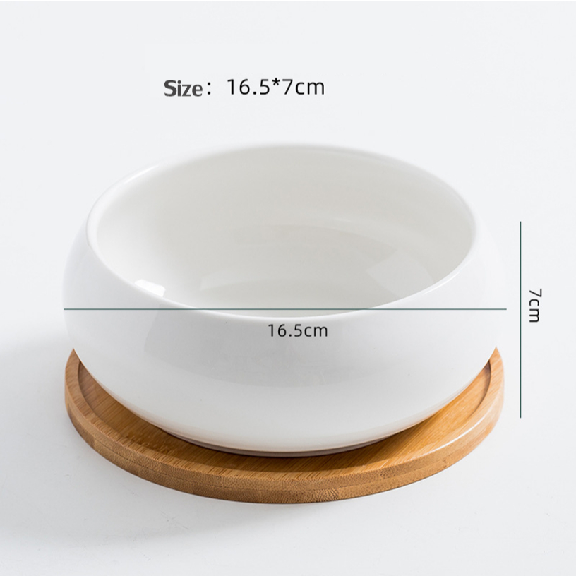 Plants Center T206 พร้อมส่งกระถางต้นไม้ เซรามิกขาวทรงกลม มีถาดรองไม้ ขนาด 16x6.5 cm เป็นเซรามิกเคลือบเงา ไม้อวบน้ำ ไลทอป - รูปที่ 3