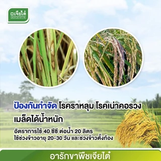 นิวฟอส กรด ฟอสโฟนิก ป้องกันรากเน่าโคนเน่า ขนาด1ลิตร จาก บ.เจียไต๋ ฝังเข็มทุเรียน ฝังเข็มต้นทุเรียน