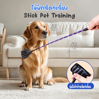 ไม้ตีสัตว์เลี้ยง ไม้ฝึกสัตว์เลี้ยง แส้ วัสดุPP ไม่เจ็บ ไม่ทำ…