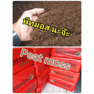 ดินปลูก สายเขียว-สมุนไพรSuper soil 420 Potting mix auto Flower (5KG/18L.)หลังเพาะกล้า-เร่งใบ-เร่งดอก