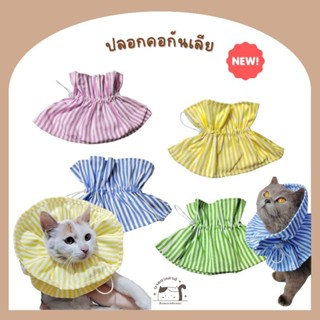 [J003] ปลอกคอกันเลีย มี 4 สี สำหรับสัตว์เลี้ยง