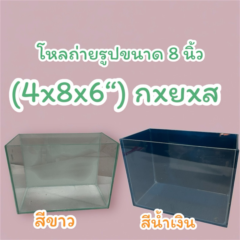 โหลปลากัด 4x8x6 นิ้ว พื้นหลังตู้สีขาว  สีน้ำเงิน สำหรับถ่ายรูปปลา