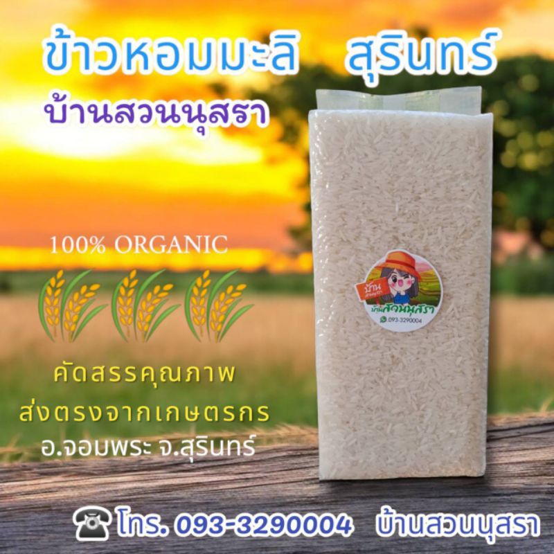 ข้าวหอมมะลิสุรินทร์ แท้ 100% พันธุ์ขาวดอกมะลิ105 ส่งตรงจากเกษตรกรไทย