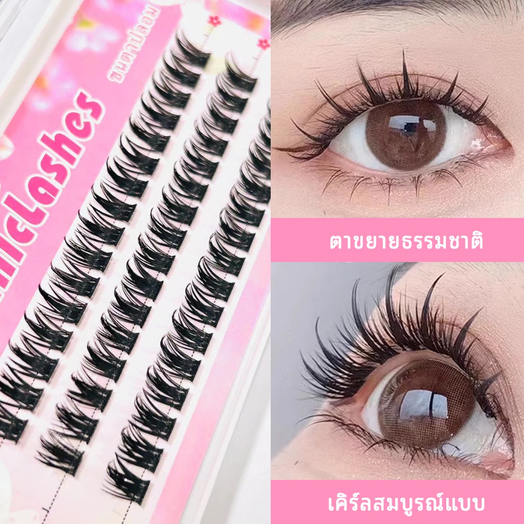 ส่งตรงจากไทย 💖 ขนตาปลอม CHICLASHES ✨ขนตาช่อ 48ช่อ สายฝอ C / D-Curl 2แบบ ยาว 10-13 มม. หนา 0.07 มม.