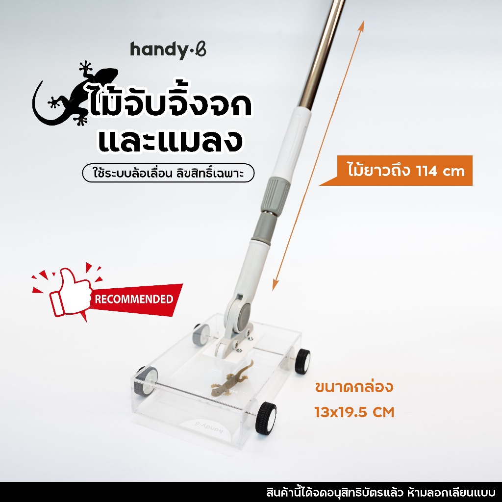 handy.b ไม้จับแมลง จิ้งจก แมลงสาบ สัตว์มีพิษ I จับแล้วปล่อย ไม่ฆ่า