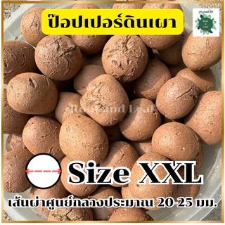 POPPER เมล็ดดินเผามวลเบา ใช้ล่อราก กักเก็บความชื้น ลดการเกาะตัวของดิน ฟื้นฟูอาการโคนยุบ รากแห้ง ขาดน้ำ บรรจุ1ลิตร