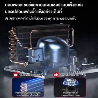 CAMEL เครื่องทำน้ำแข็ง 55/70/80 KG การทำน้ำแข็งเร็ว ปรับความหนาของน้ำแข็งได้ Ice Maker