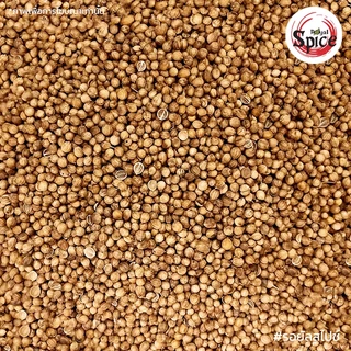 เม็ดผักชี เบอร์ 0 ง่วงจี้ (Coriander Seed) ขนาด 1 กิโลกรัม