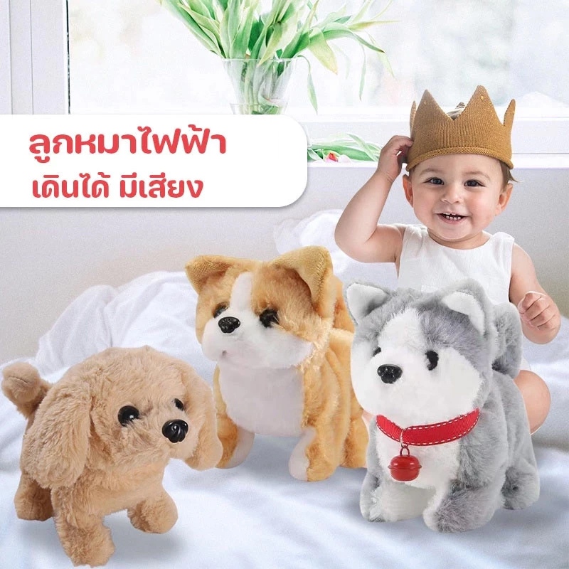 รูปภาพ 3