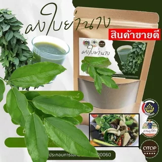 ใบย่านางอบแห้งบดผง ย่านางผงล้วน100% กลิ่นหอม สีเขียวเข้มธรรมชาติ ใช้ทำอาหารได้ ทำเครื่องดื่มได้ แบบ(ซอง) 90กรัม