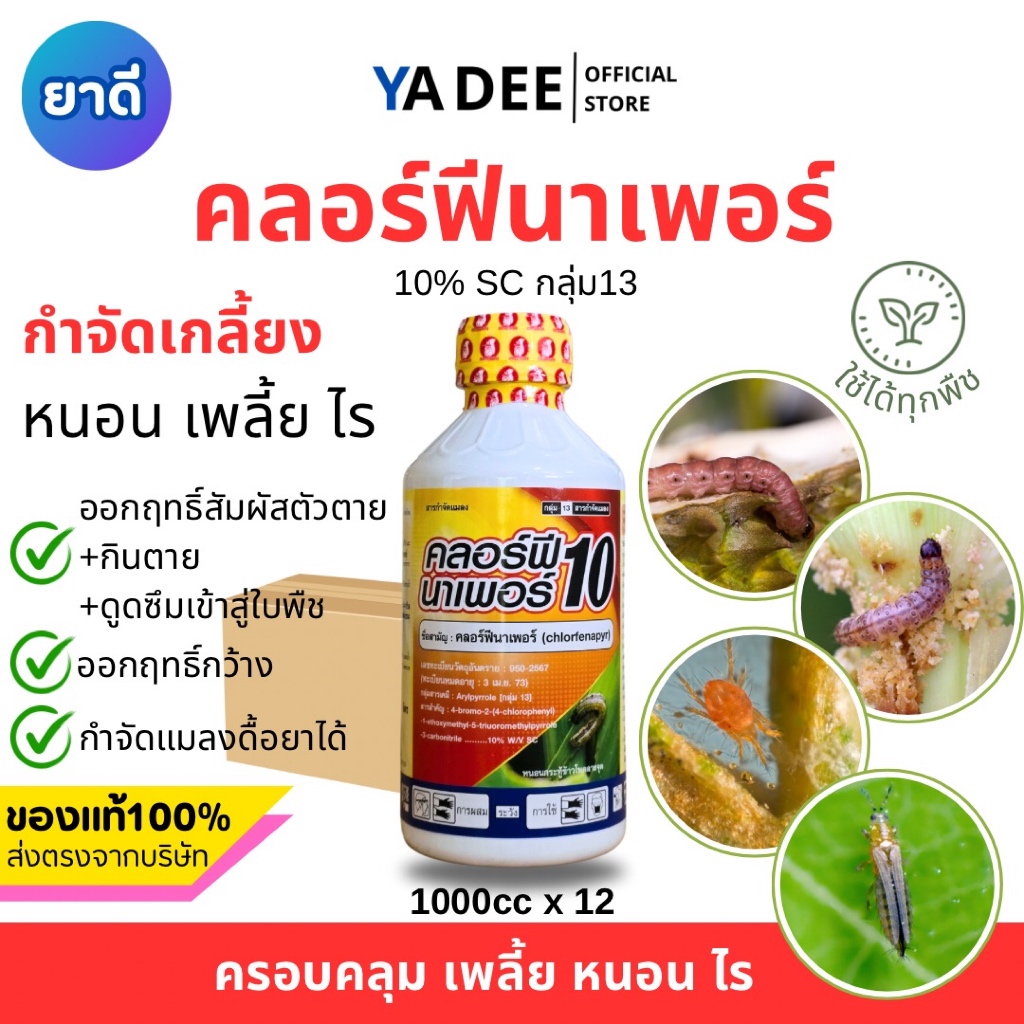 คลอฟีนาเพอร์ คลอฟีนาเพอร์ยกลัง 1L x 12 ขวด