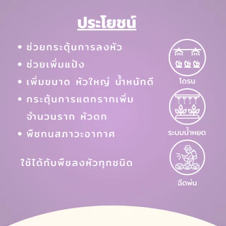 ยูนีค อะมิโนมัน ขยายหัวมัน "สูตรเฉพาะสำหรับพืชลงหัวทุกชนิด" ช่วยกระตุ้นการลงหัว ช่วยเพิ่มแป้ง เพิ่มขนาด หัวใหญ่ 1 ลิตร