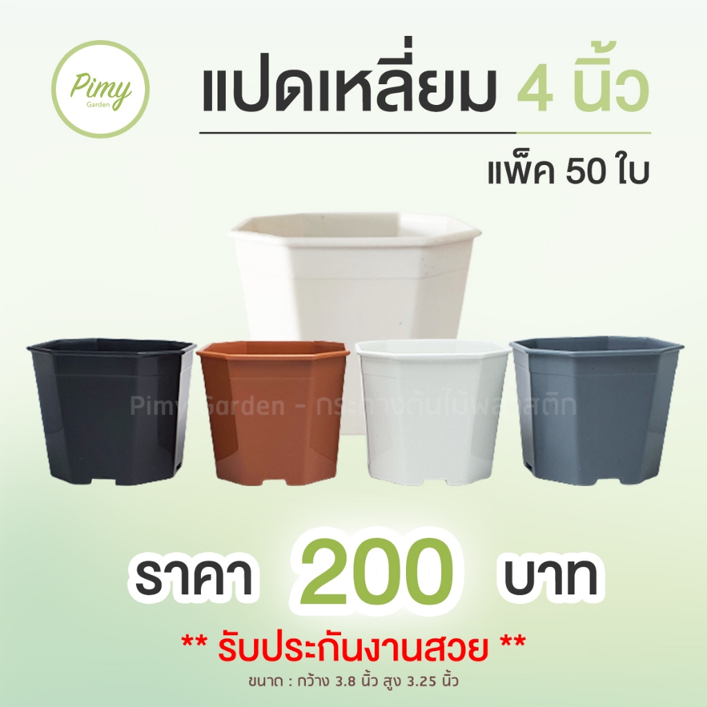 50 ใบ กระถางแคคตัส ทรงแปดเหลี่ยม 4 นิ้ว สีขาว สีเทา สีดำ สีอิฐ