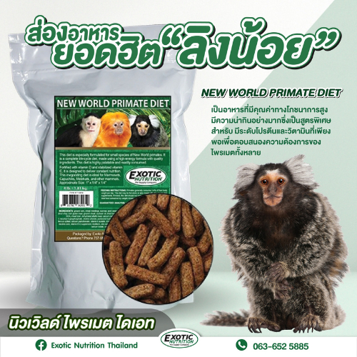RANDOLPH แรนดอล์ฟ-Exotic Nutrition NEW WORLD PRIMATE DIET สำหรับลิง