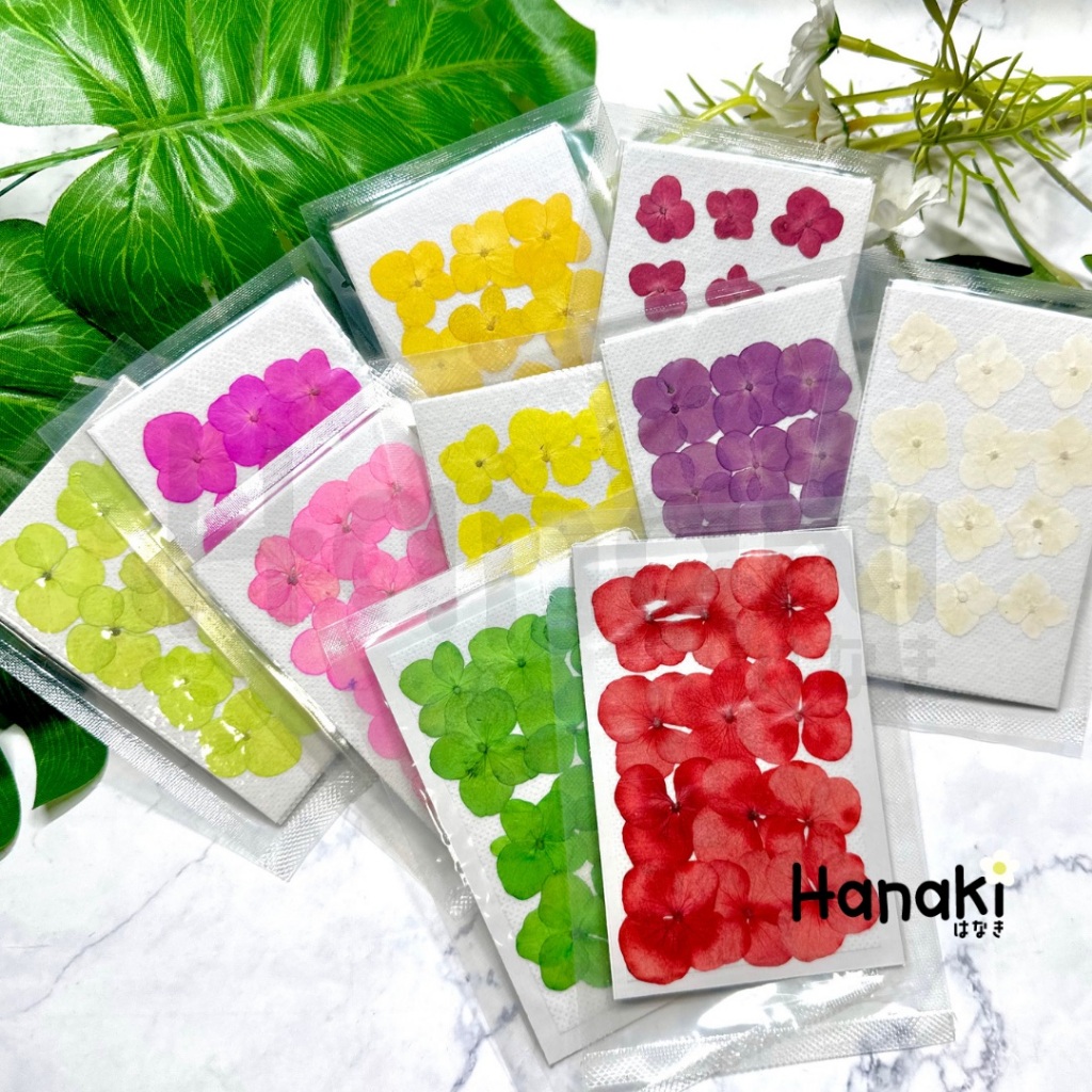 【พร้อมส่ง】ดอกไฮเดรนเยียสีพาสเทลขนาดเล็กทับแห้ง ดอกไม้จริงทับแห้ง ดอกไม้ทับแห้ง Pressed Flowers