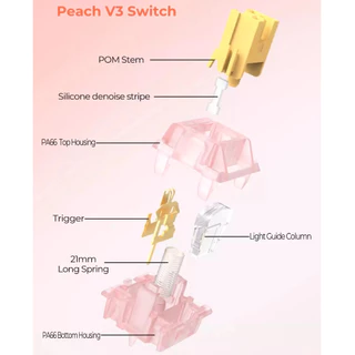 [พร้อมส่ง] สวิตช์คีย์บอร์ดเกมมิ่ง XINMENG Outemu Peach V3 | Linear SILEN T| Pre-Lubed