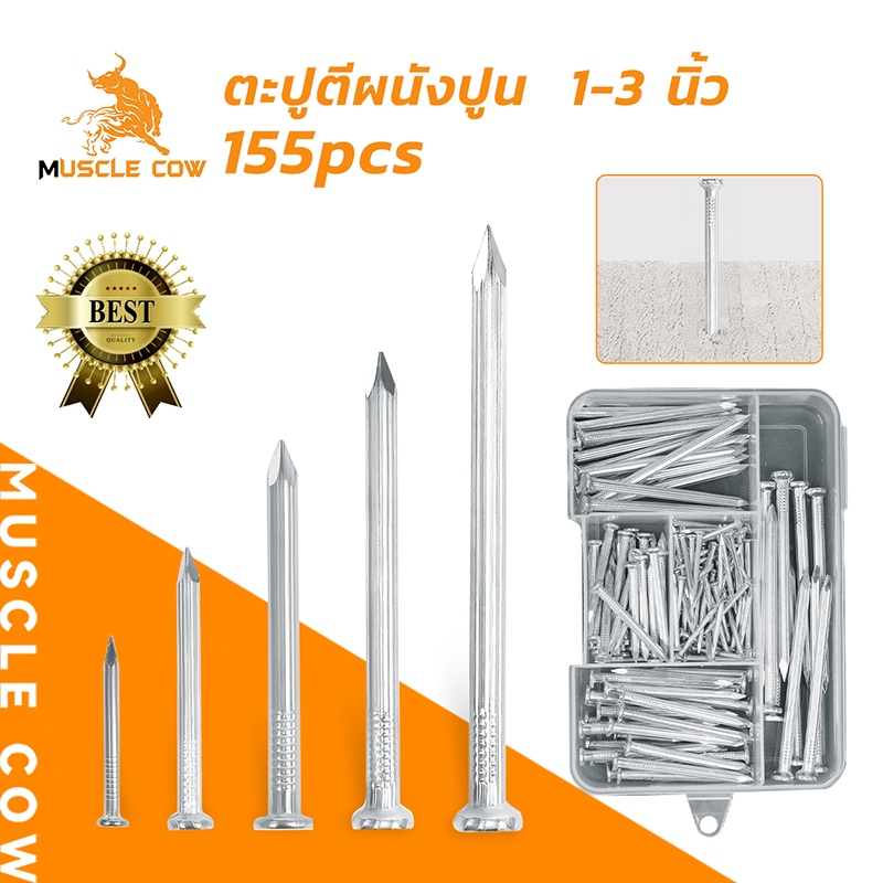 MUSCLE COW ตะปูตอกคอนกรีต สกรู สำหรับยึดผนังปูน ขนาดยาว 1-3 นิ้ว แข็งแรง ทนทาน (กล่อง 155 ชิ้น)