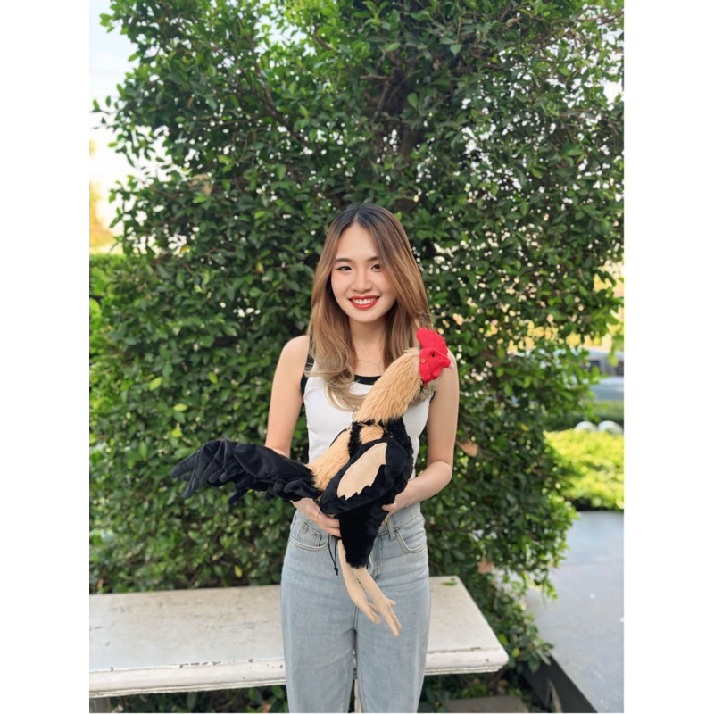 ไก่ยางซิลิโคน ไก่ยางตุ๊กตา ตุ๊กตาไก่ ไก่ปลอม ไก่ล่อเป้า ไก่นวม อุปกรณ์ไก่ชน ออกกำลังกายไก่